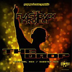 Cover of THE DROP