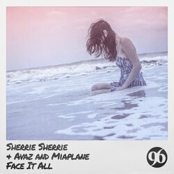 Cover of Face It All