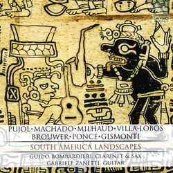 Cover of South America Landscapes