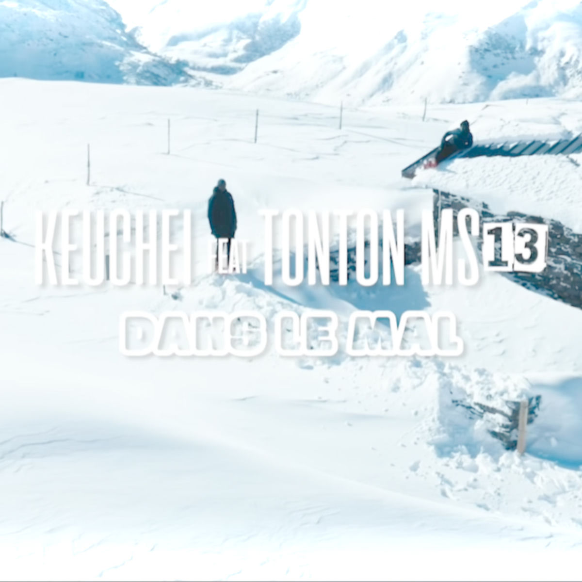 Album cover of Dans le mal