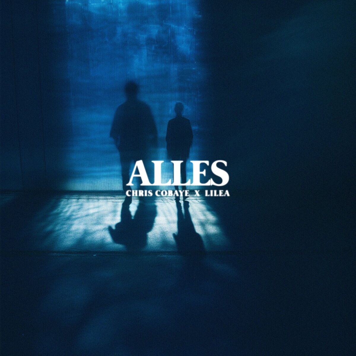 Album cover of Alles