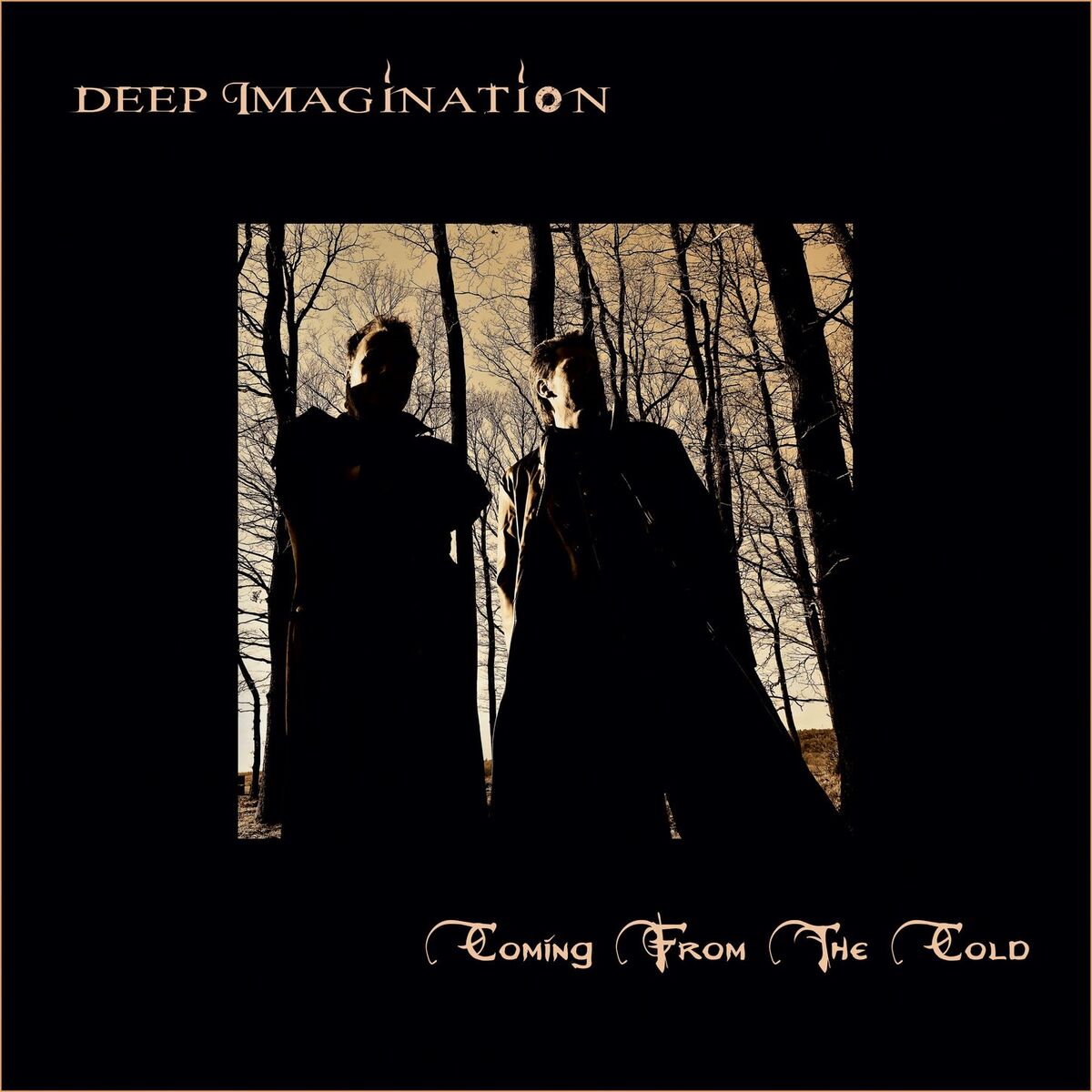 Album cover of Coming from the Cold