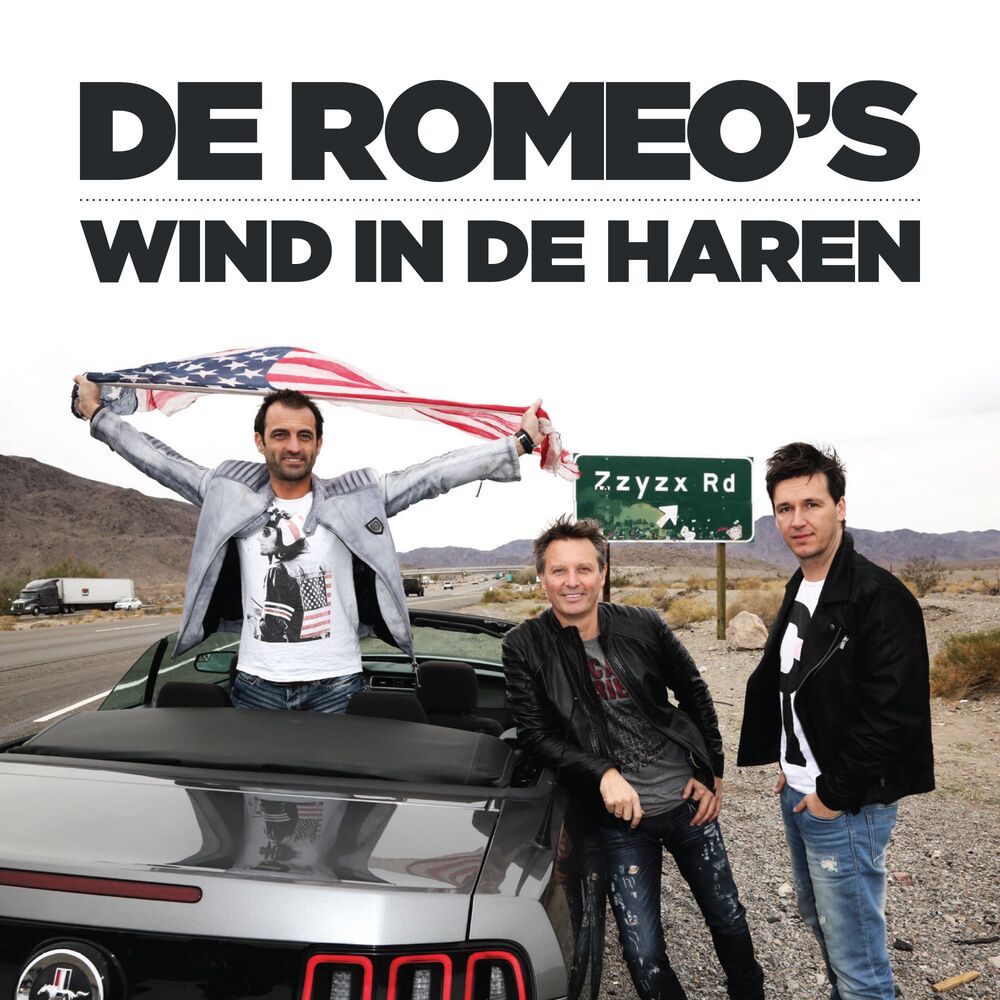 Picture of Wind In De Haren
