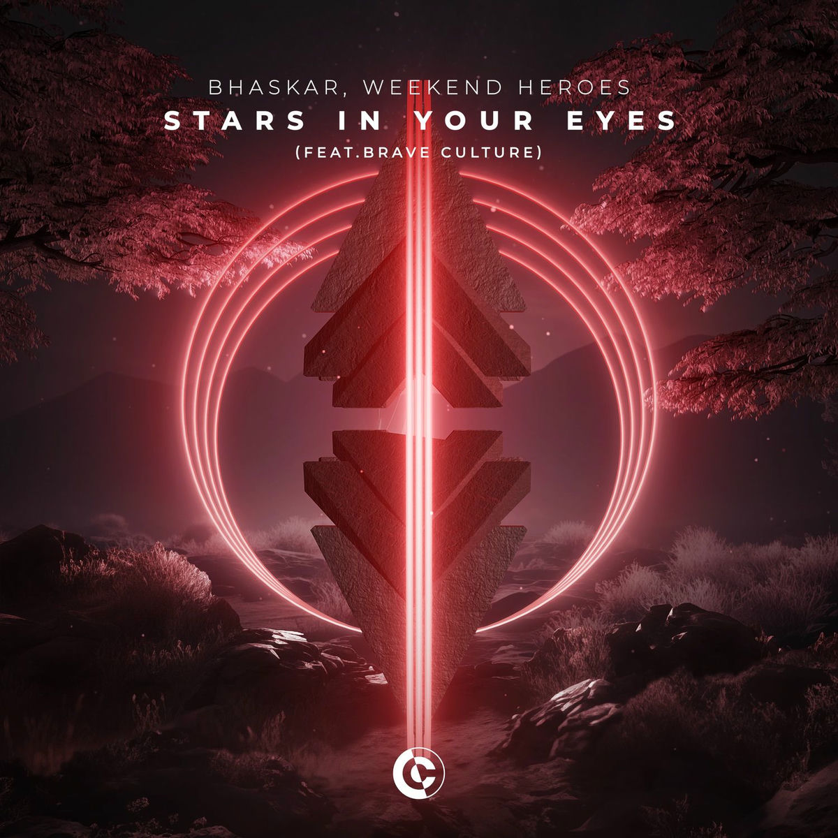 Album cover of Stars In Your Eyes (feat. Brave Culture)