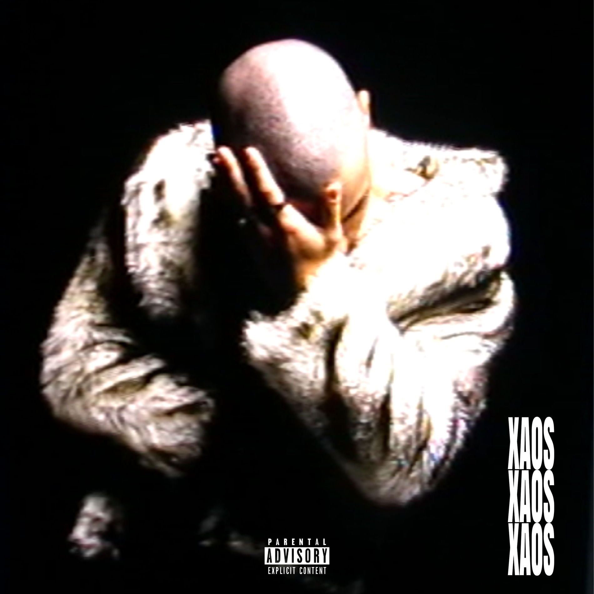 Album cover of THE LOVER
