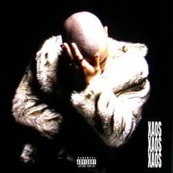 XAOS