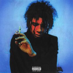 Cover of do it all