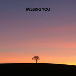 Capa de Missing You