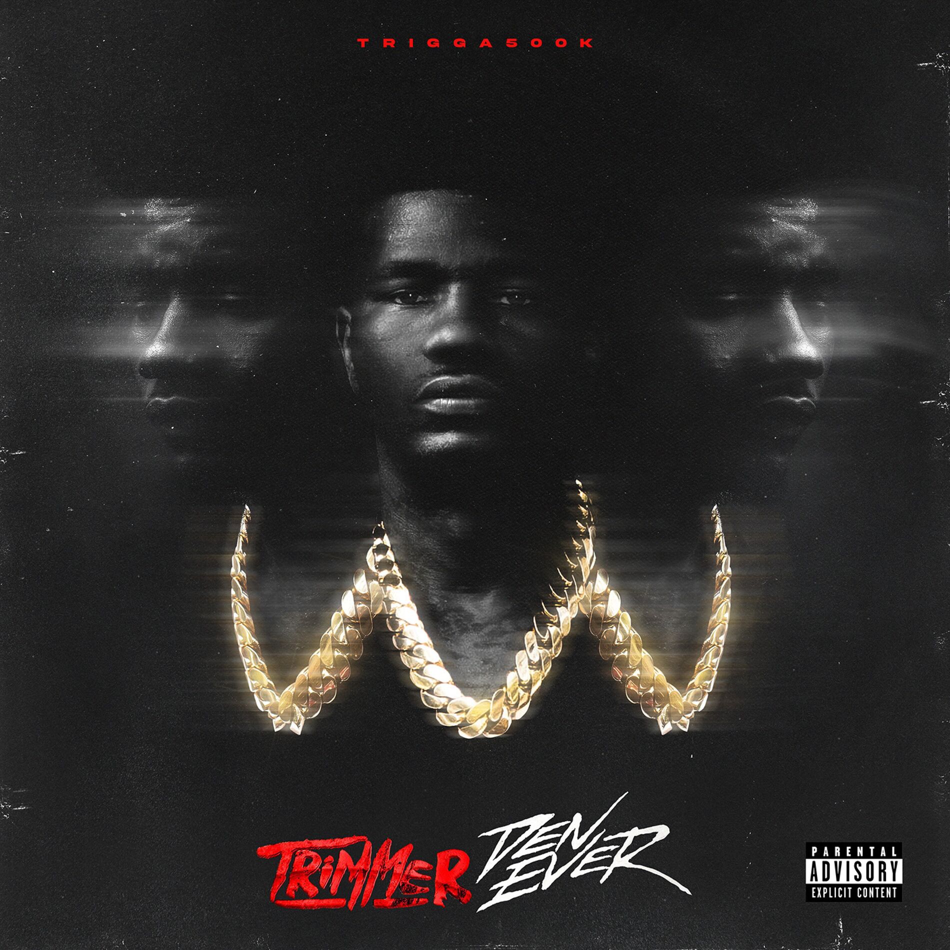 Album cover of Trimmer Den Ever