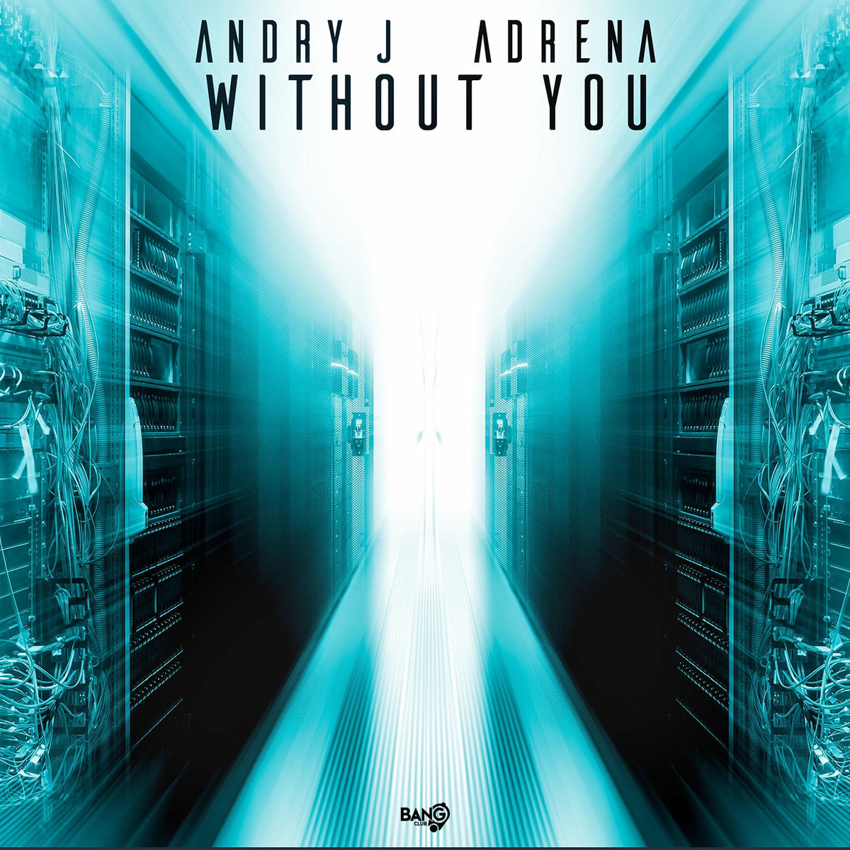 Album cover of Without You