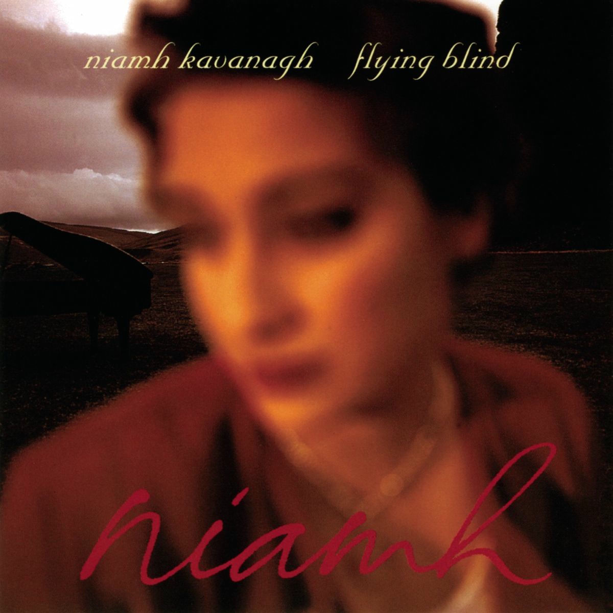 Album cover of Flying Blind