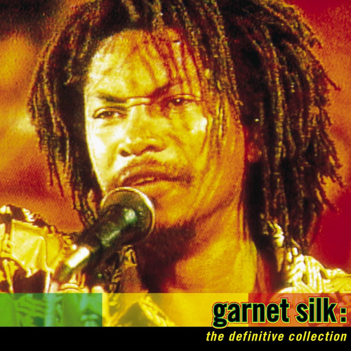 レア盤☆REGGAE　７インチ　GARNETT SILK　COMPLAINT レア盤☆REGGAE 7インチ GARNETT SILK COMPLAINT - メルカリ