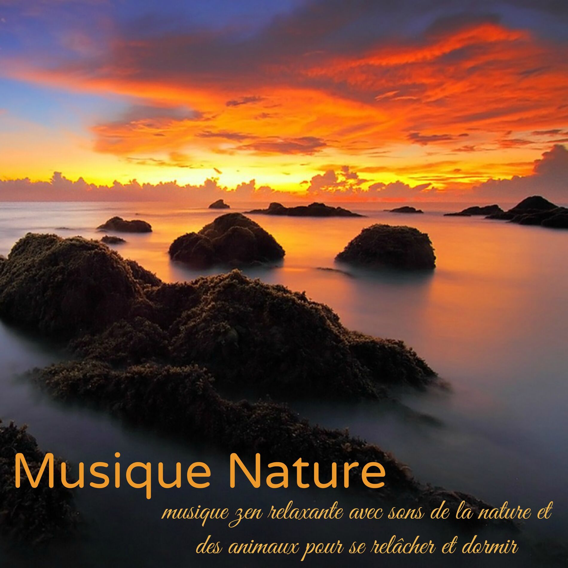 Album cover of Nature