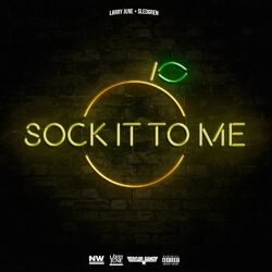 Cover of Sock It to Me