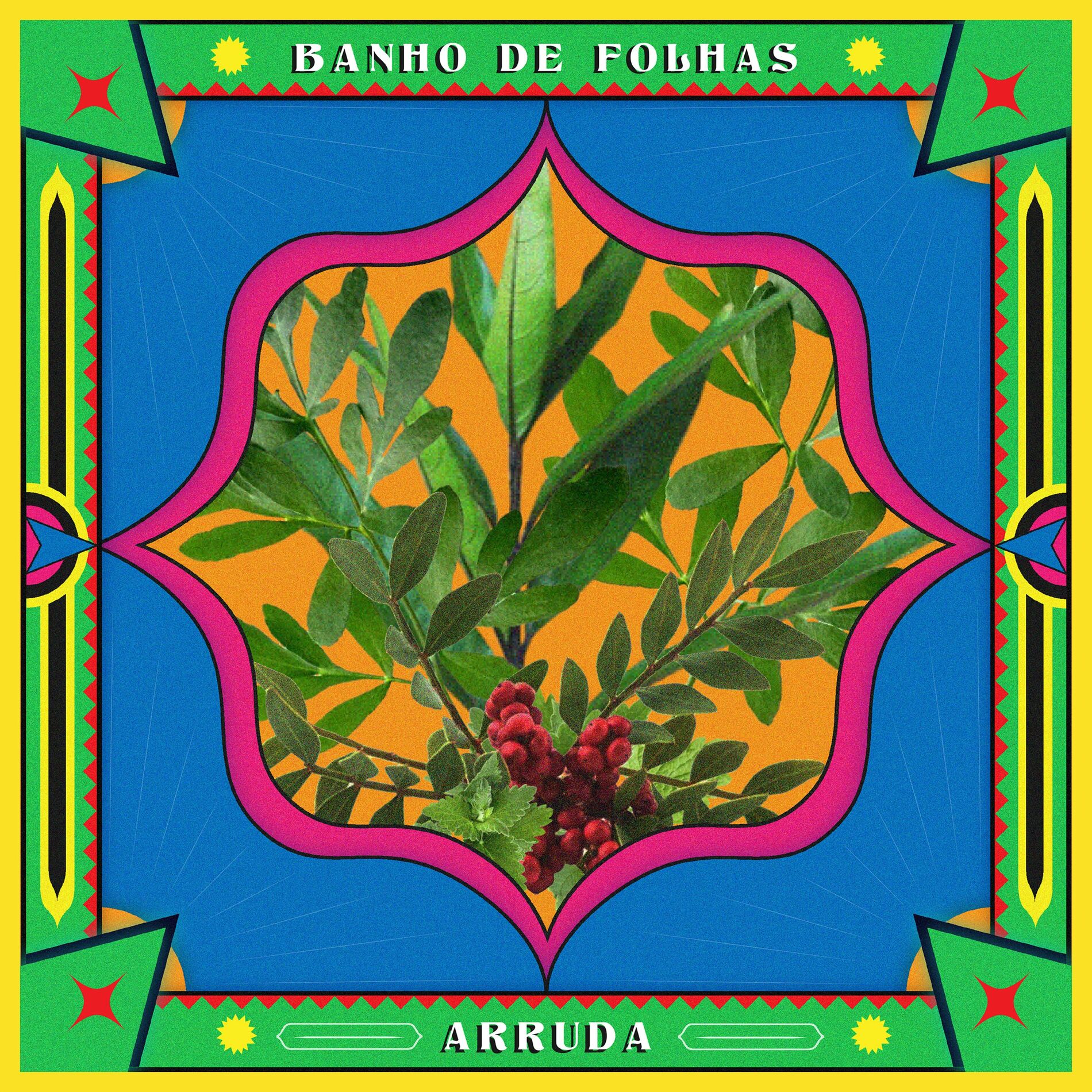 Album cover of A Força Que Vem da Raiz