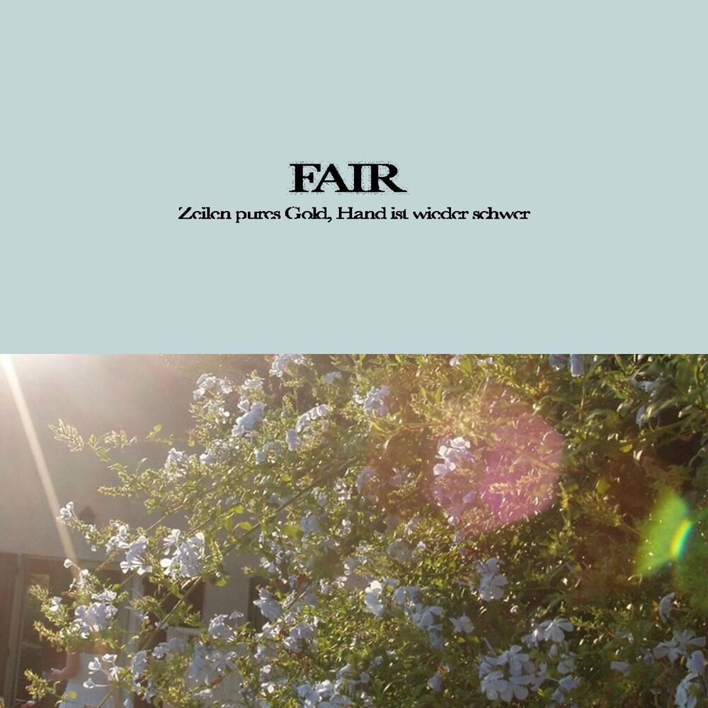 Picture of Fair