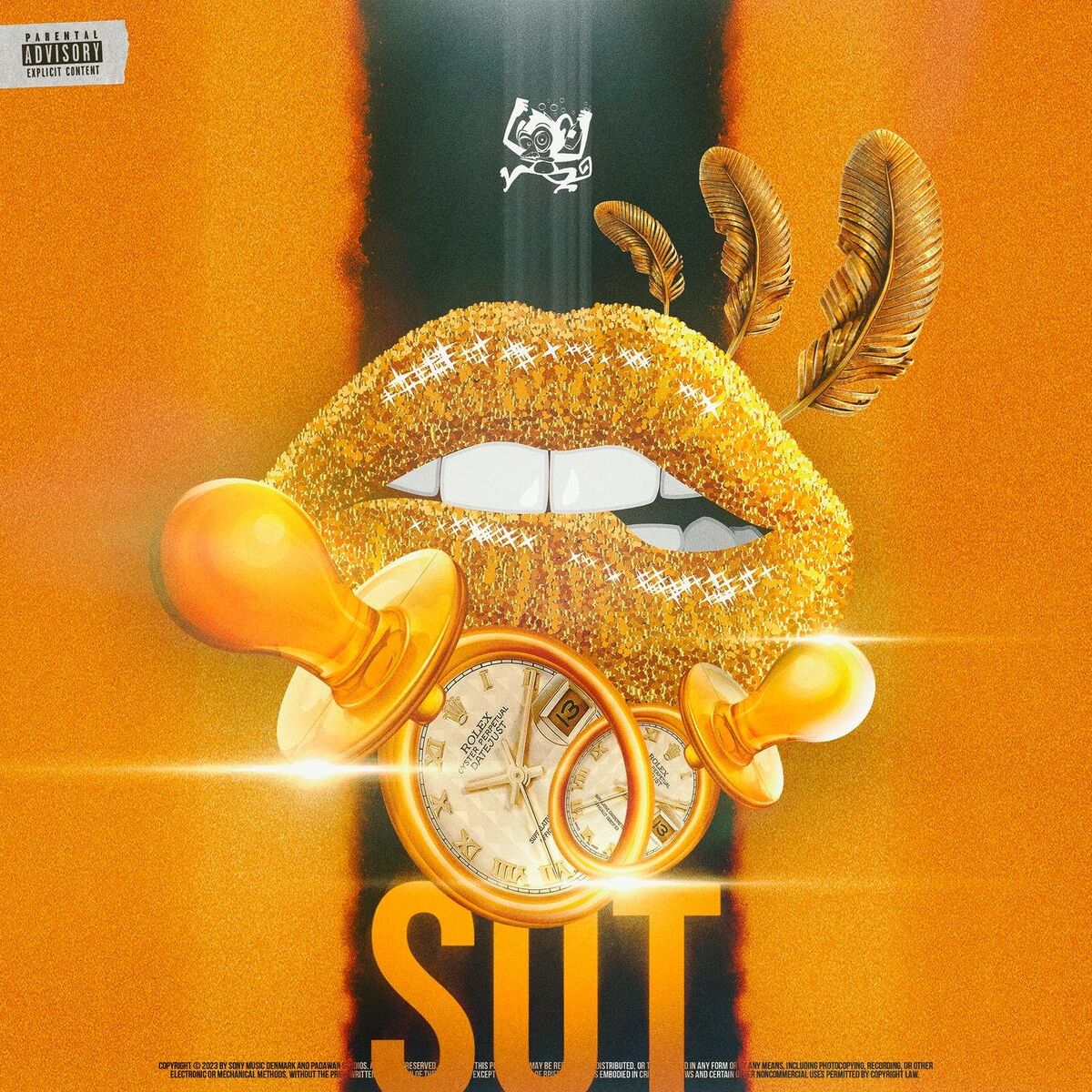 Album cover of Sut