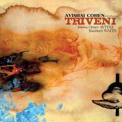 Cover of Introducing Triveni