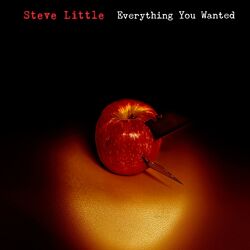 Cover of Everything You Wanted