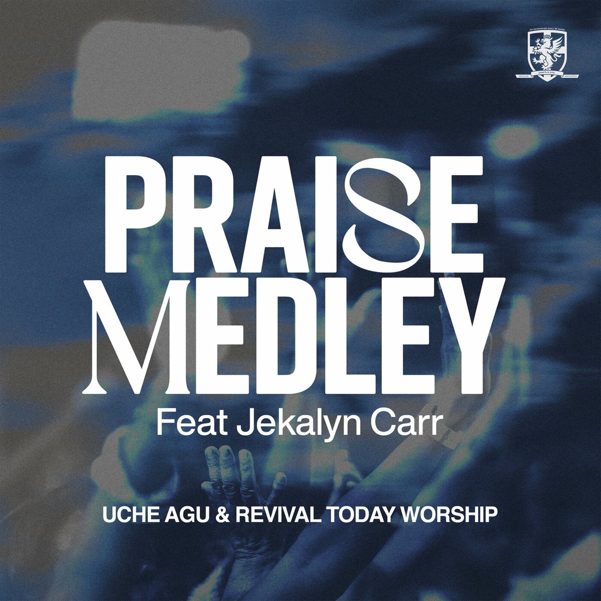 Album cover of Praise Medley (Live)