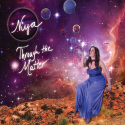 Cover of Through the Matter