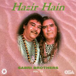 Cover of Hazir Hain, Vol. 15