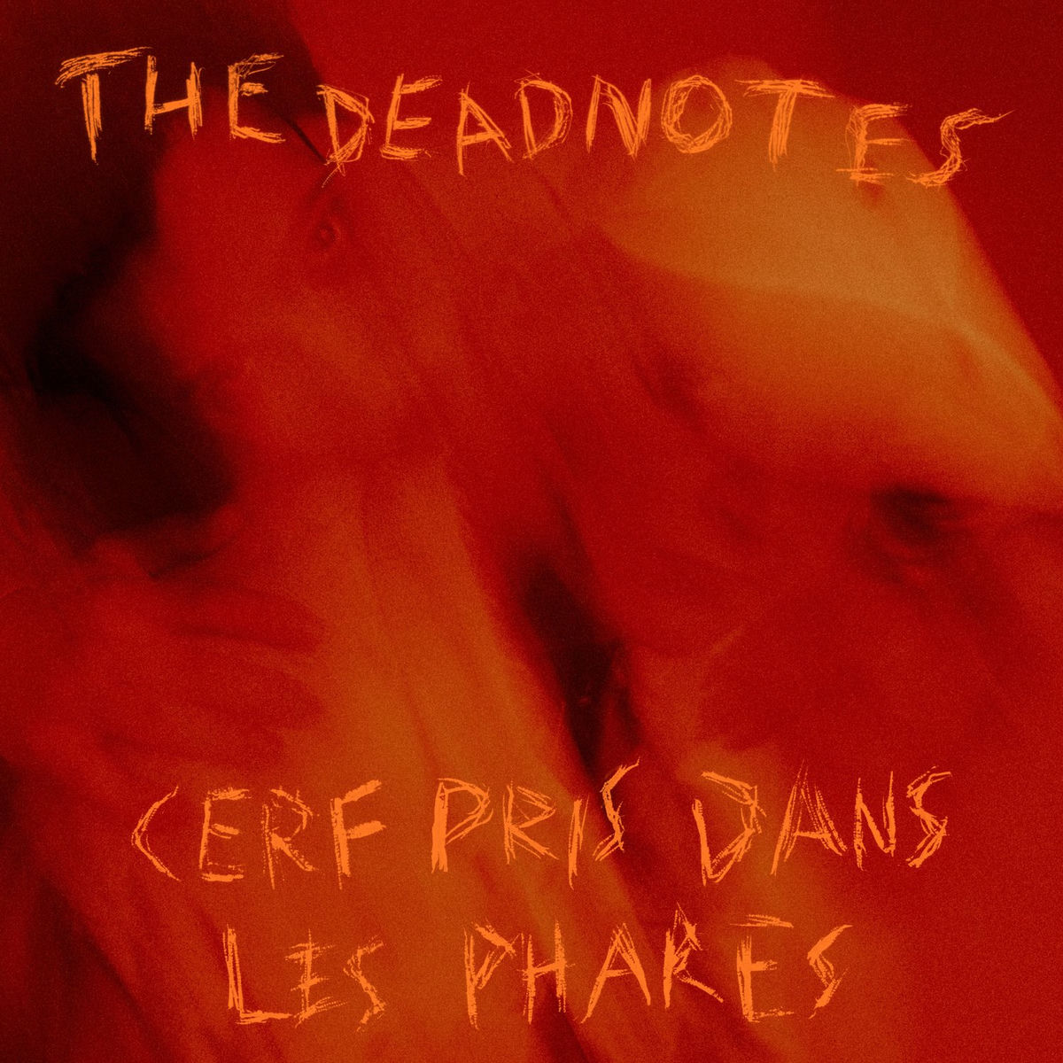 Album cover of Cerf pris dans les phares