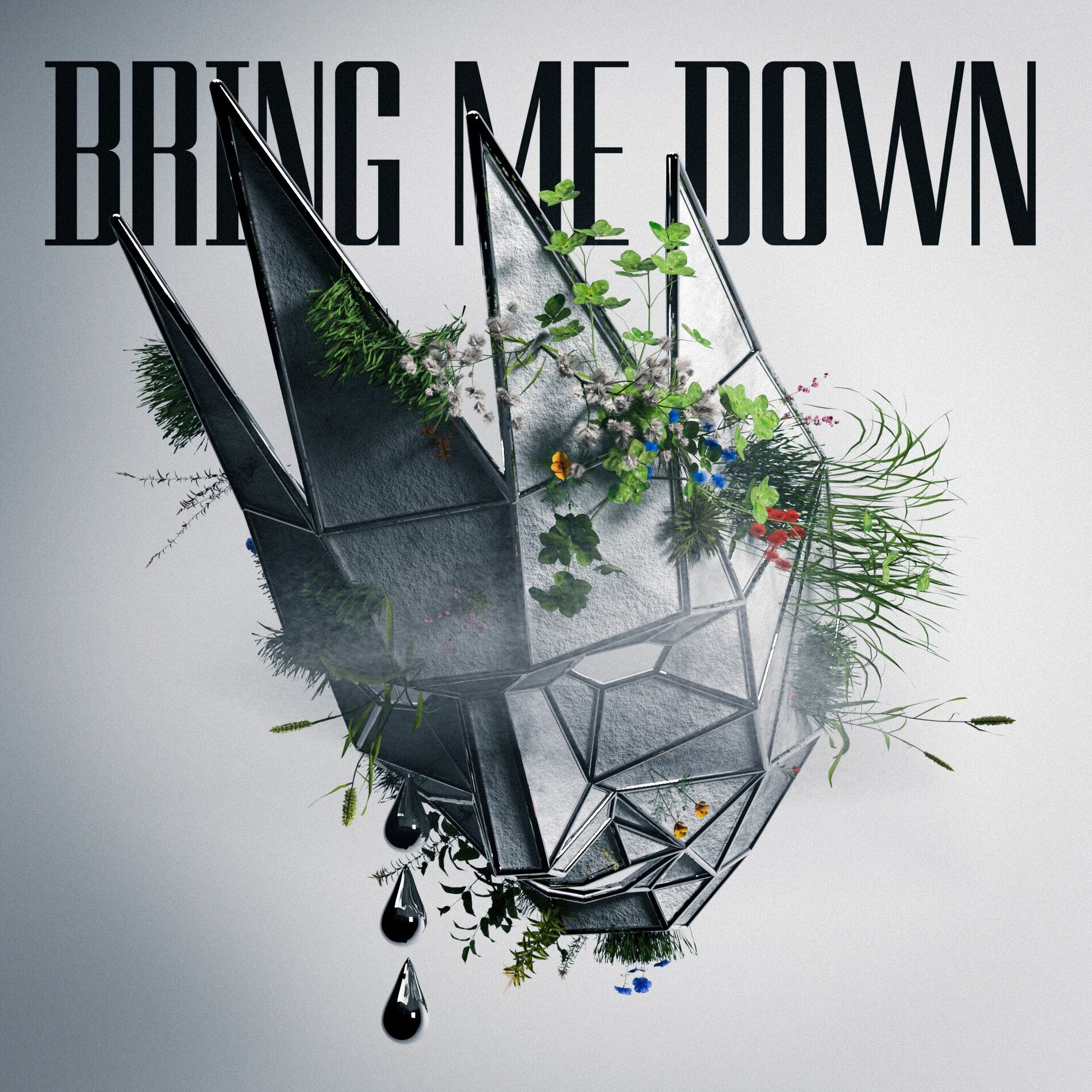 Album cover of Bring Me Down