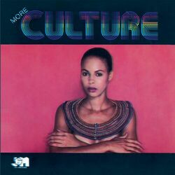 Cover of More Culture