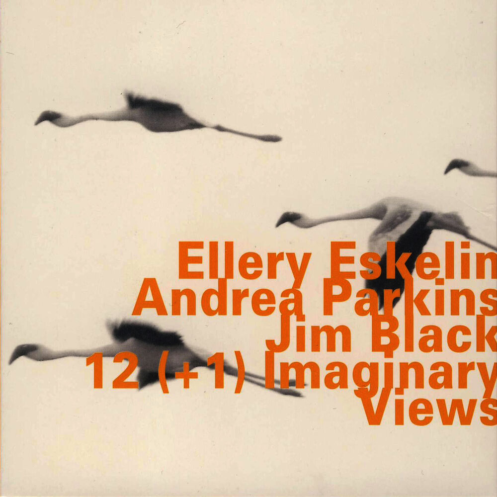 Picture of 12(+1) Imaginary Views