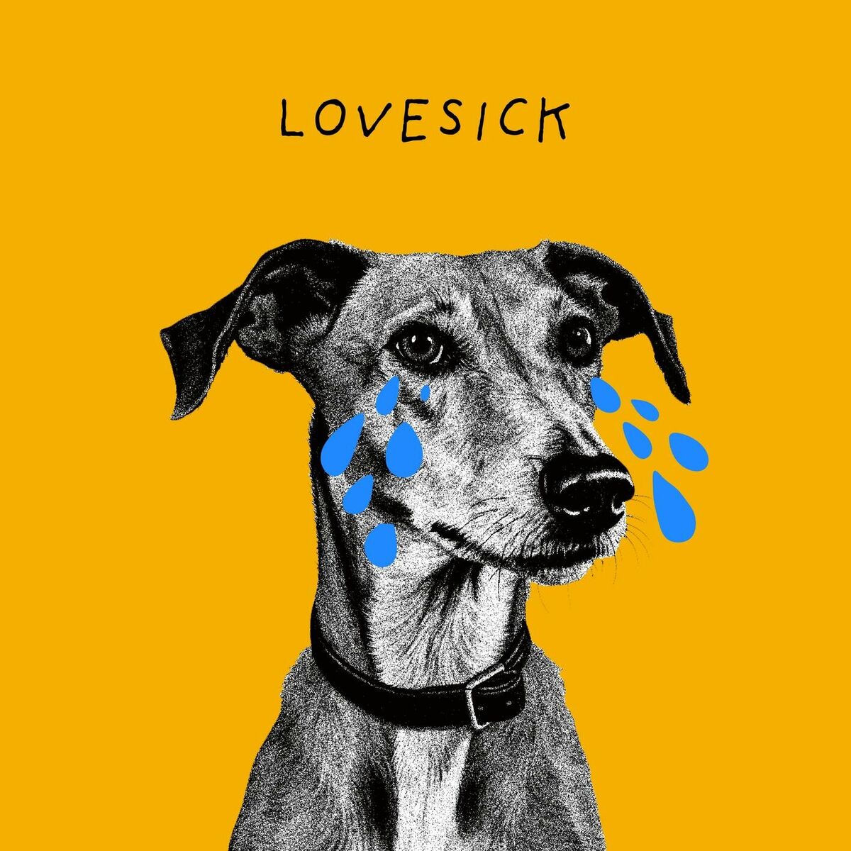 Album cover of Lovesick
