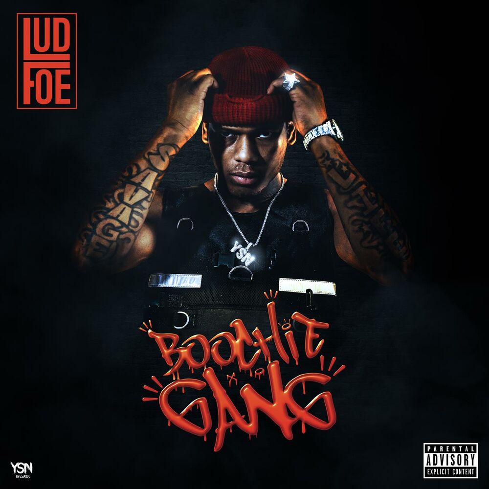 Picture of Boochie Gang