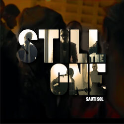 Cover of Still the One