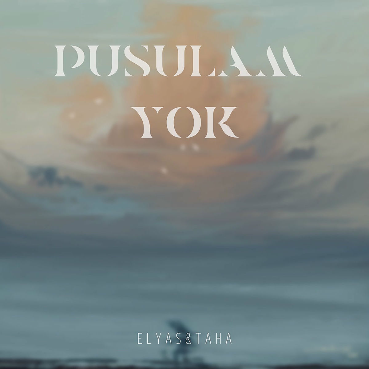 Album cover of Pusulam Yok