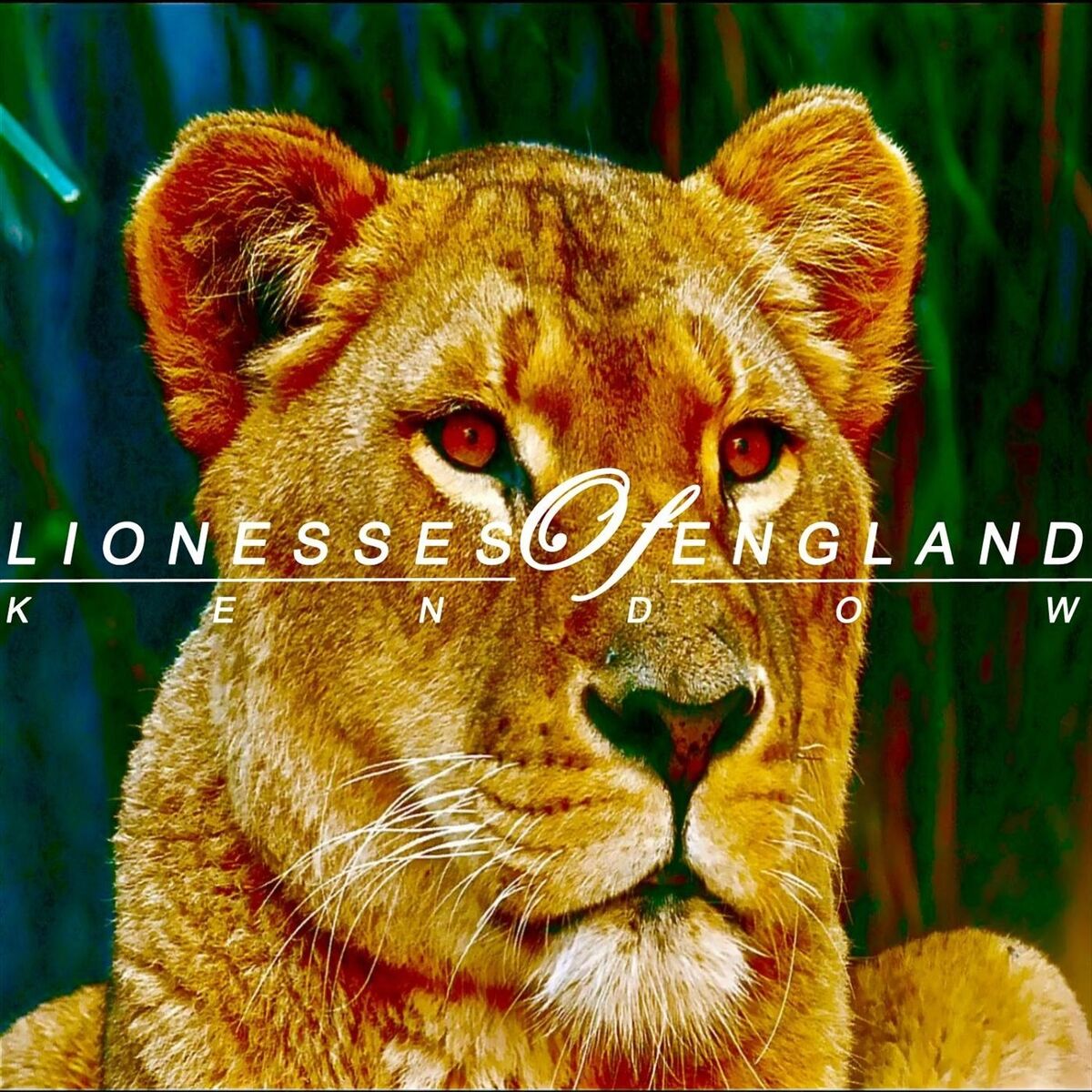 Album cover of Lionesses of England