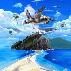 Cover of Turtle in the sky wit wale