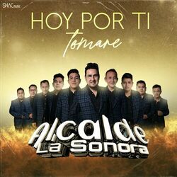 Cover of Hoy Por Ti Tomaré
