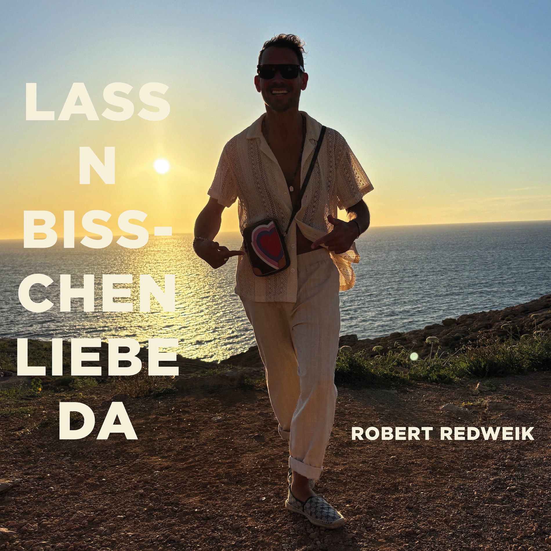 Album cover of Lass n bisschen Liebe da