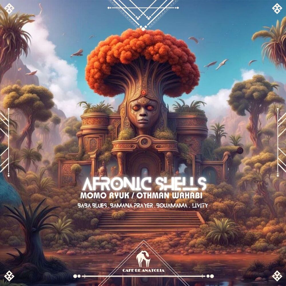 Picture of Afronic Shells