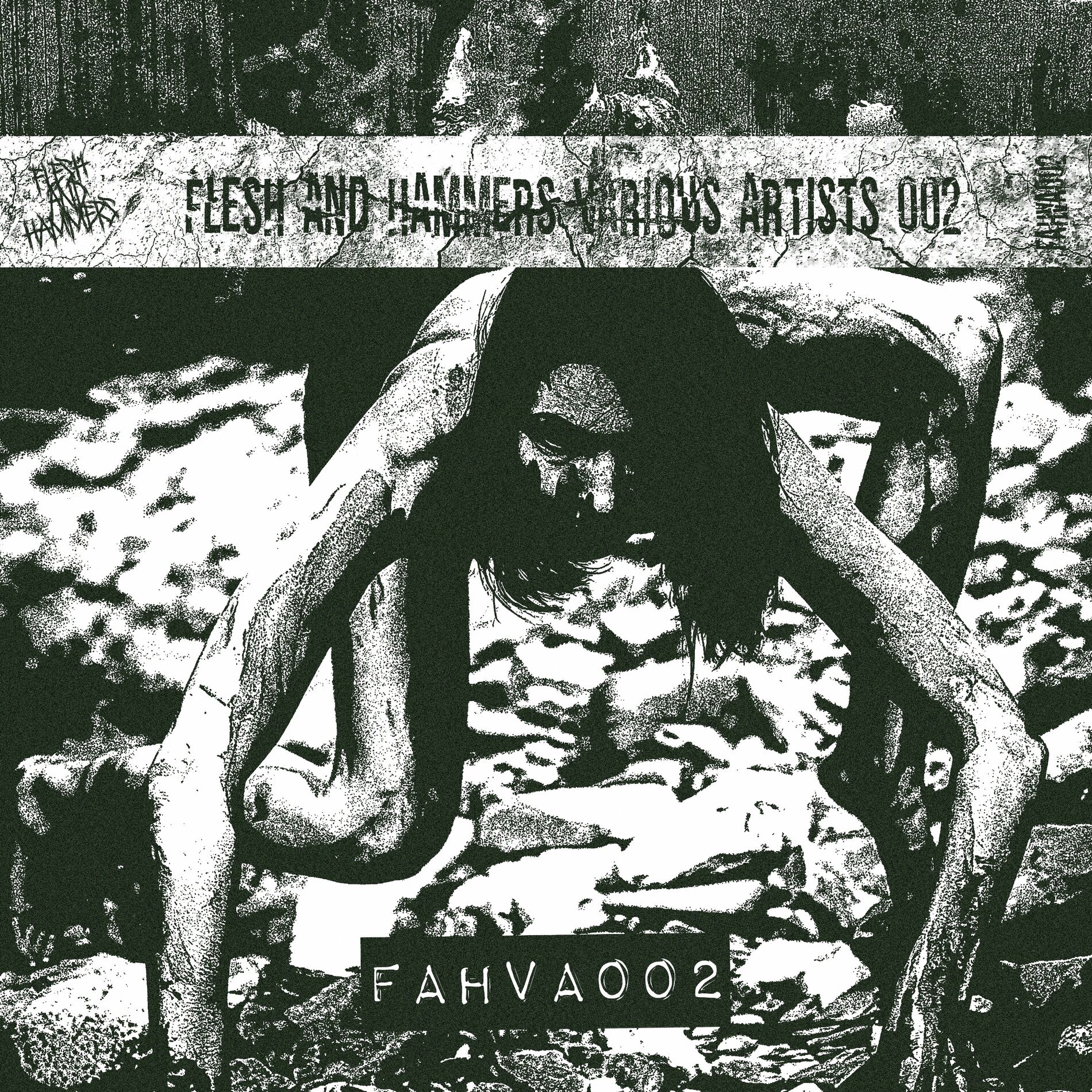 Album cover of FAHVA002