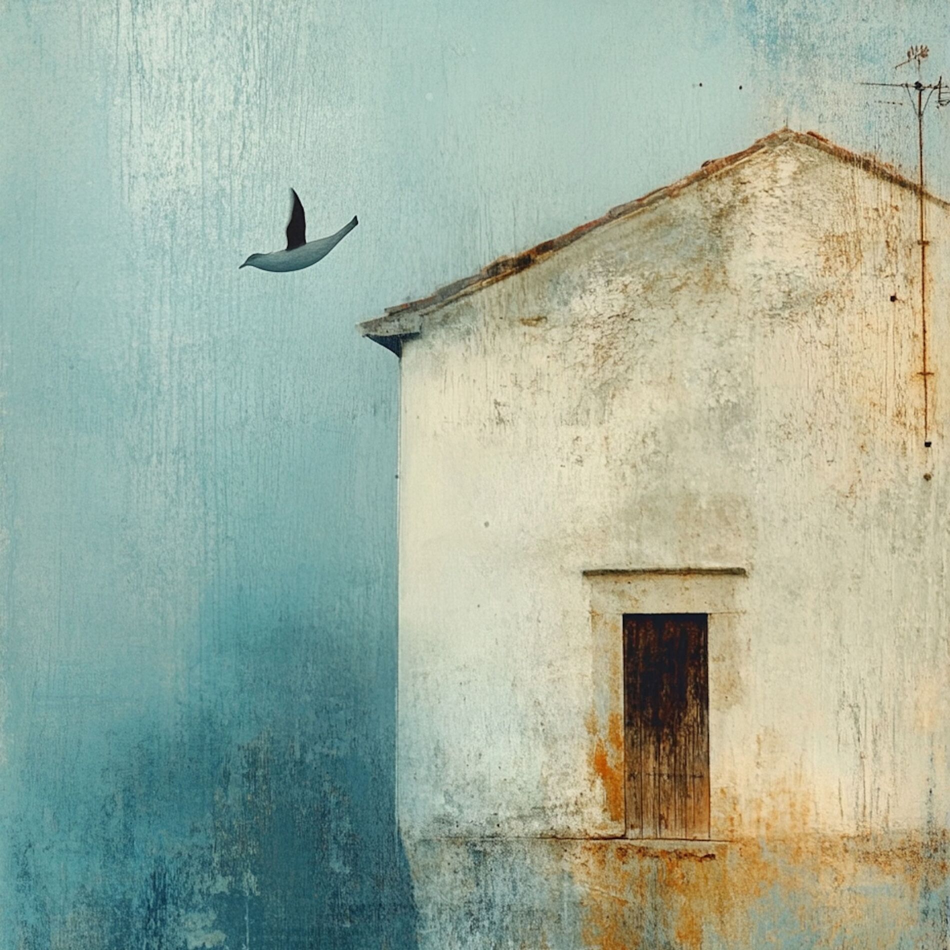 Album cover of Only Shadows Stay