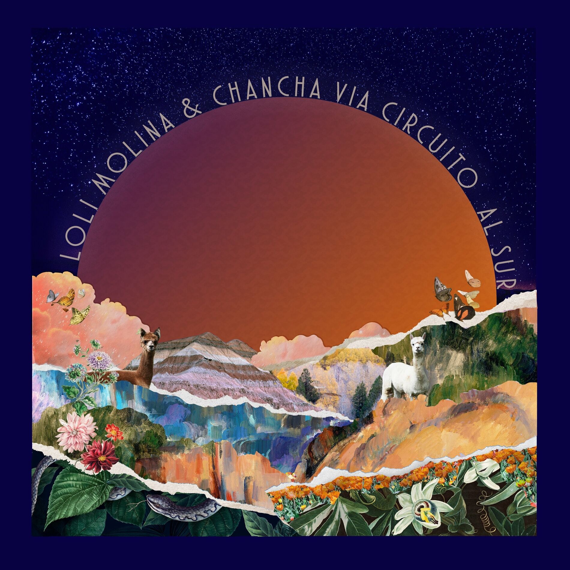 Album cover of Al Sur