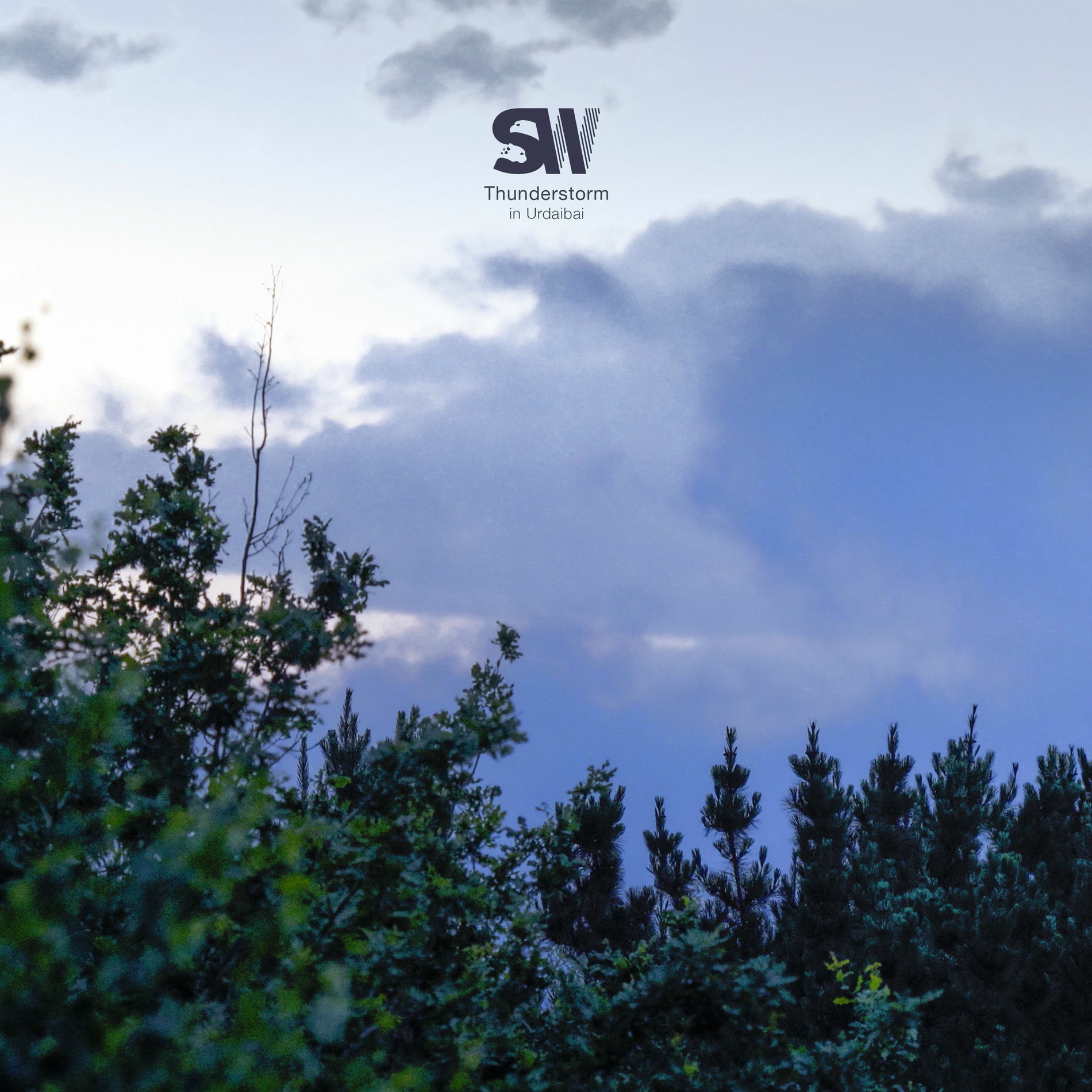 Album cover of Thunderstorm in Urdaibai
