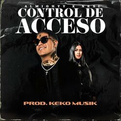 Cover of Control de Acceso