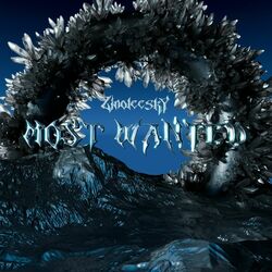 Cover of Most Wanted