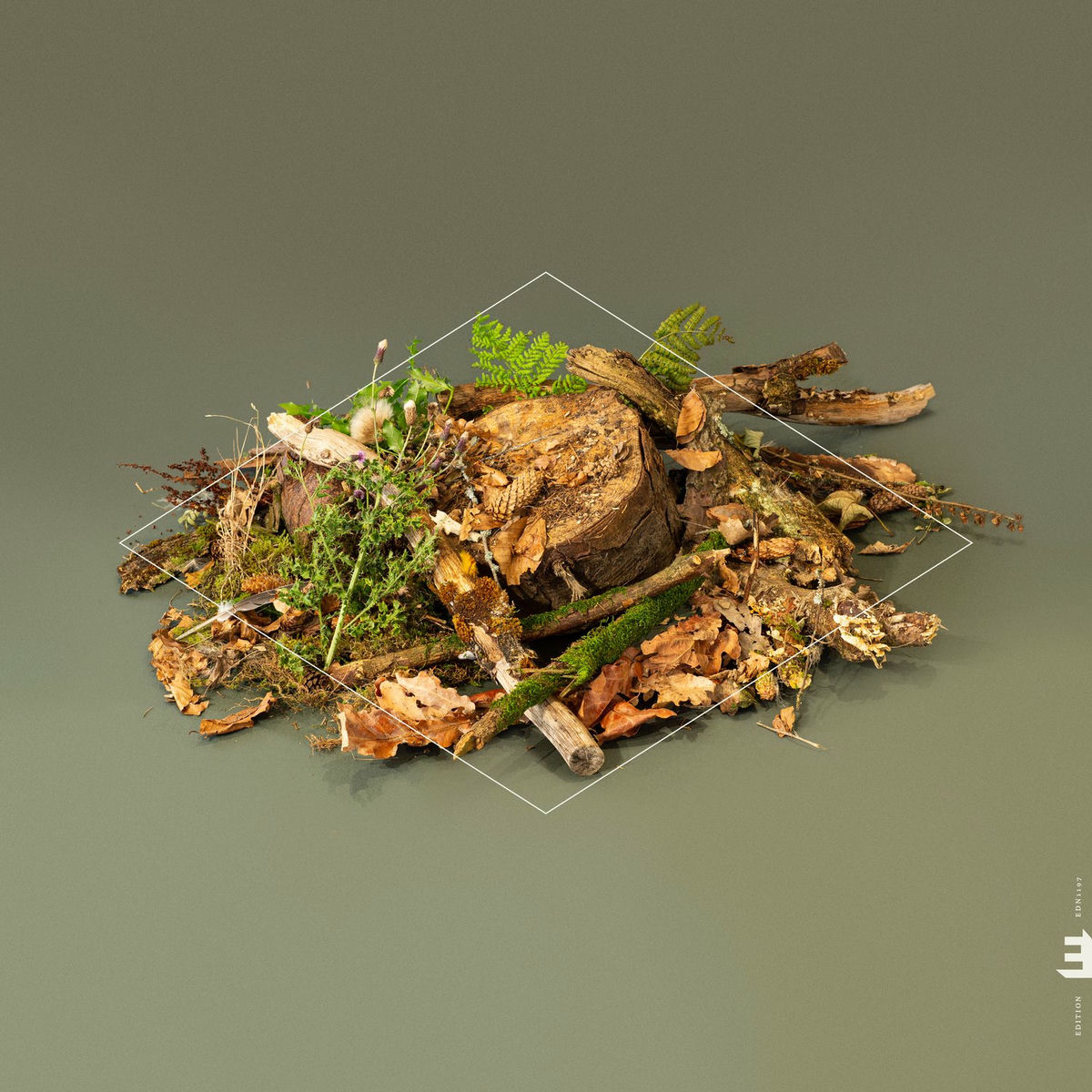 Album cover of Forest Floor