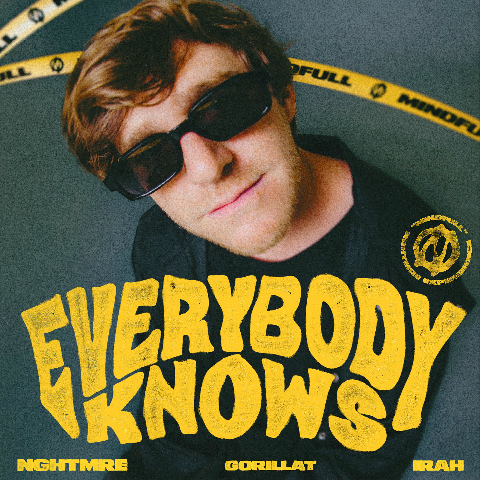 Album cover of Everybody Knows (feat. IRAH)