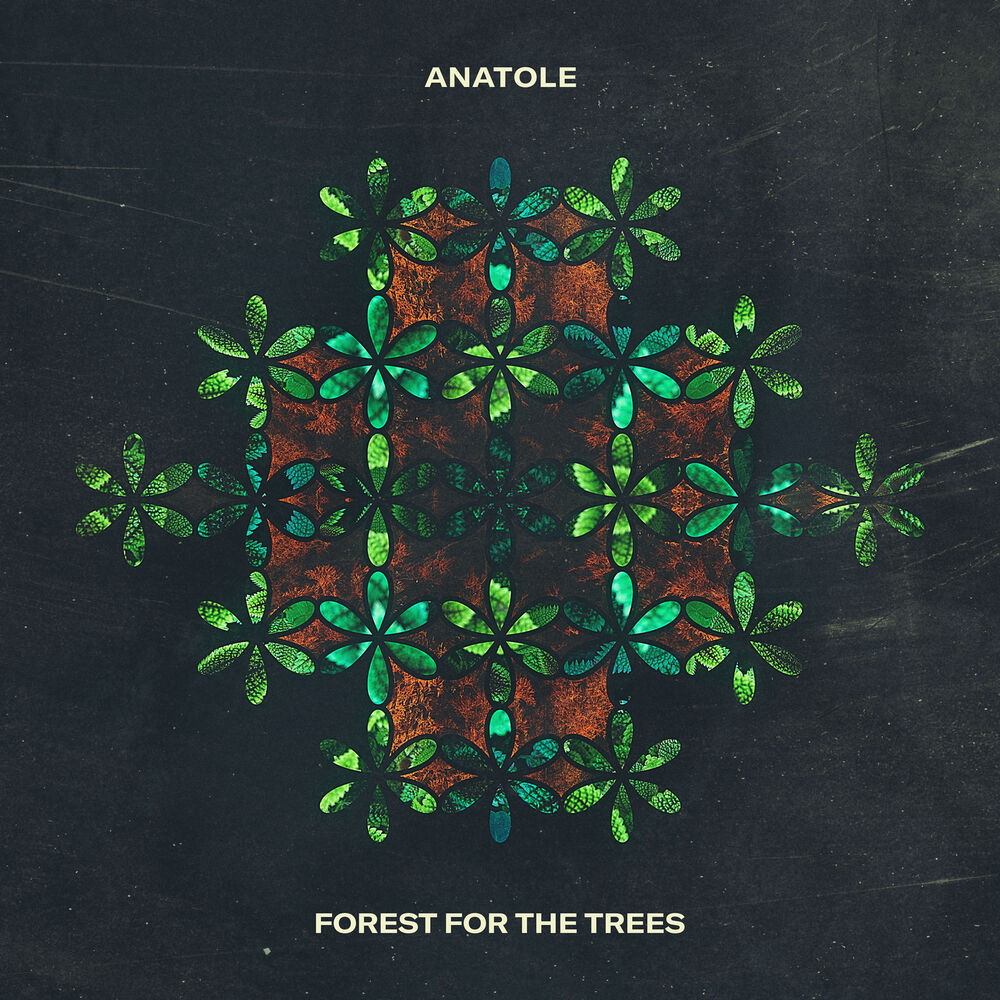 Picture of Forest For The Trees