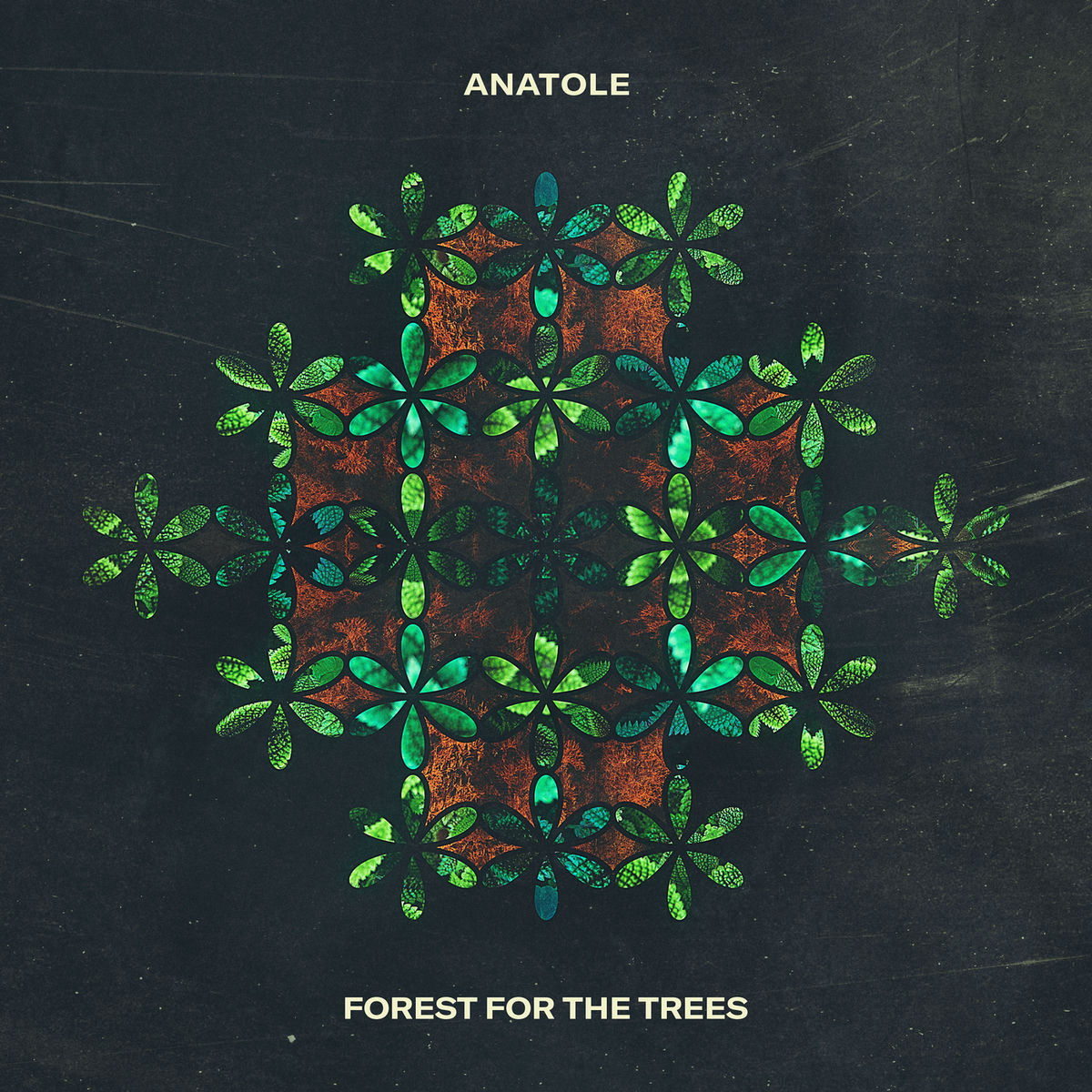 Album cover of Forest For The Trees