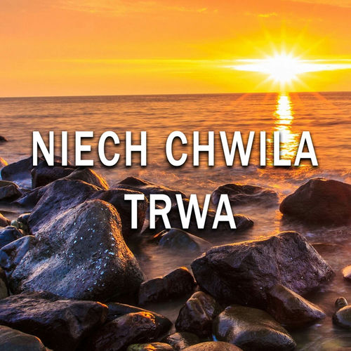 Niech Chwila Trwa by Daniel Martikz - 95 BPM
